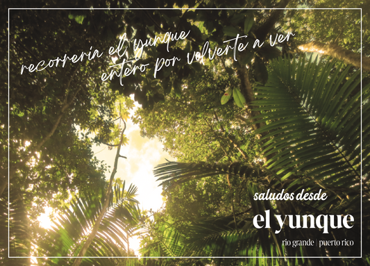 El Yunque - Postcard